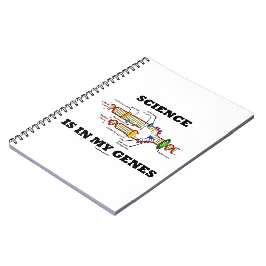 Carnet La science est dans mes gènes (réplication de l'AD (Côté gauche)