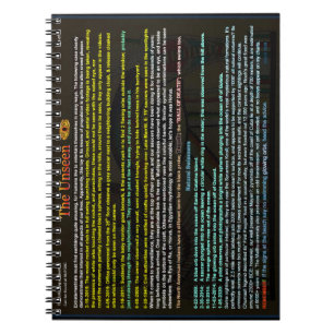 Carnet La sonde extraterrestre