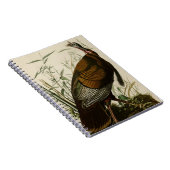 Carnet La Turquie sauvage (Côté Droit)