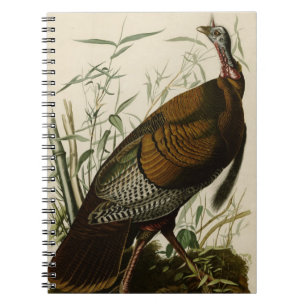Carnet La Turquie sauvage