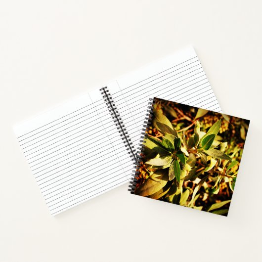 Carnet La verdure (Intérieur)