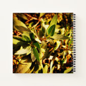 Carnet La verdure (Dos)