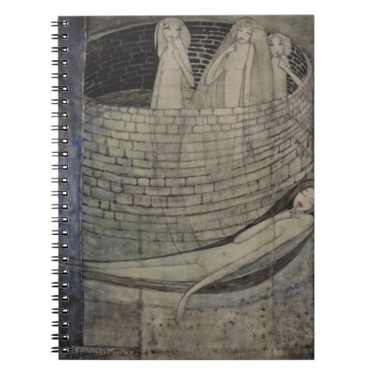 Carnet La vérité est au fond du puits (Devant)