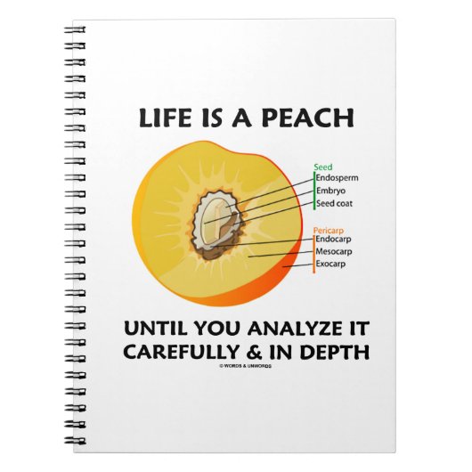 Carnet La Vie Est Une Pêche Jusqu'À Ce Que Vous Analysiez (Devant)