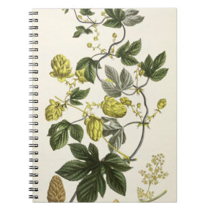 Carnet La vigne d'houblon, "du jeune terrien", édité