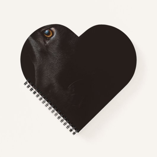 Carnet laboratoire noir (Devant)