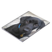 Carnet Laboratoires mignons (Côté gauche)