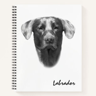 Carnet Labrador Chien élégant