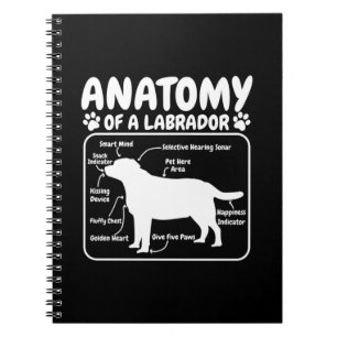 Carnet Labrador Dog Anatomy