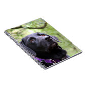 Carnet Labrador noir (Côté Droit)