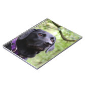Carnet Labrador noir (Côté gauche)