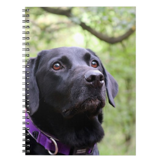 Carnet Labrador noir (Devant)