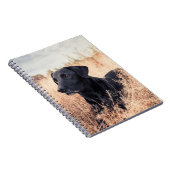 Carnet Labrador Noir En Graine Sèche (Côté Droit)