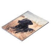 Carnet Labrador Noir En Graine Sèche (Côté gauche)