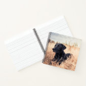 Carnet Labrador Noir En Graine Sèche (Intérieur)