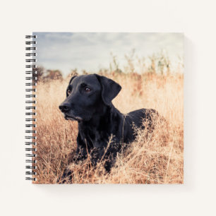 Carnet Labrador Noir En Graine Sèche