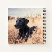 Carnet Labrador Noir En Graine Sèche (Dos)