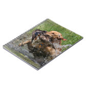 Carnet Labrador retriever jaune avec le canard (Côté gauche)
