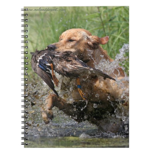 Carnet Labrador retriever jaune avec le canard (Devant)