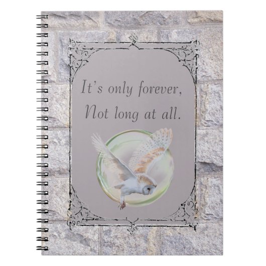 Carnet Labyrinthe C'est seulement un hibou pour toujours (Devant)