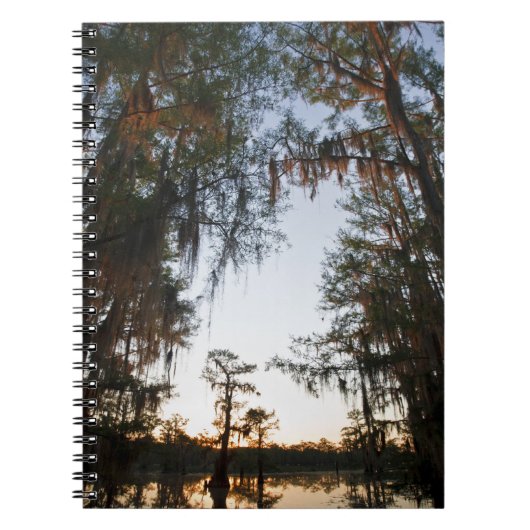 Carnet Lac Caddo au lever du soleil (Devant)