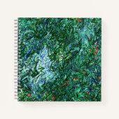 Carnet Lac Icy.... (Devant)