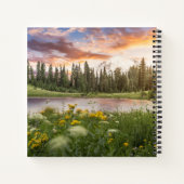 Carnet Lac Tipsoo de Mt.Rainier (Dos)