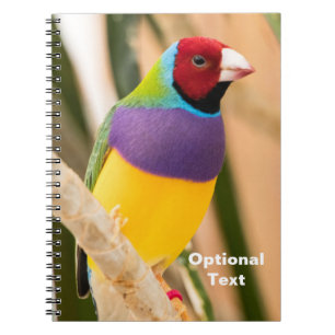 Carnet Lady Gouldian Finch