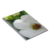 Carnet Ladybug (Côté Droit)