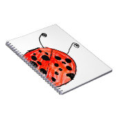 Carnet Ladybug (Côté Droit)
