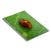Carnet Ladybug (Côté Droit)
