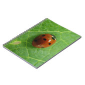Carnet Ladybug (Côté gauche)
