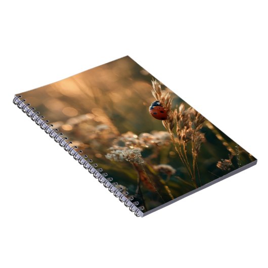Carnet Ladybug Golden Meadow (Côté Droit)