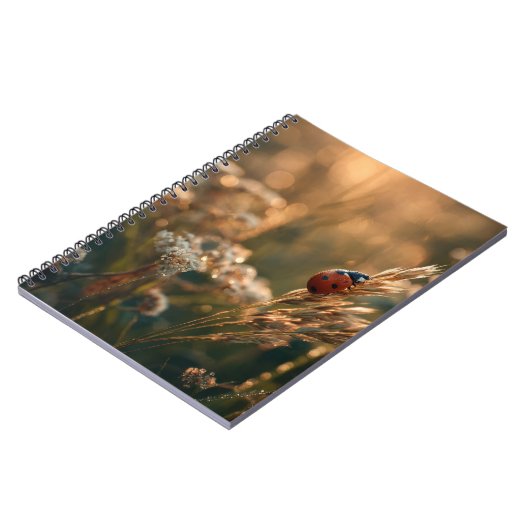 Carnet Ladybug Golden Meadow (Côté gauche)