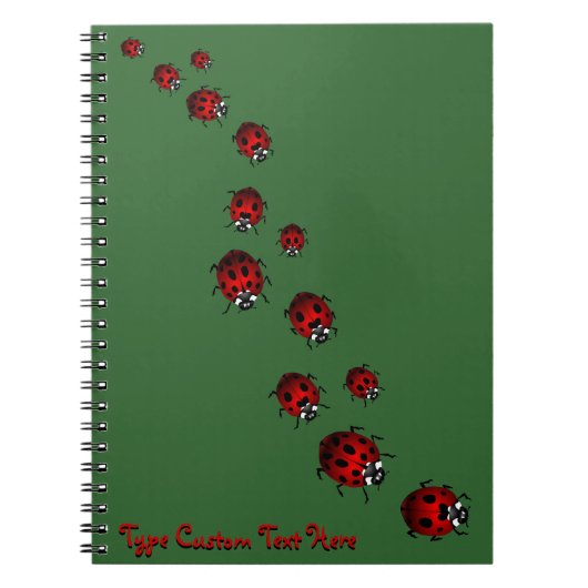 Carnet Ladybug personnalisé Ladybug Journal des ca (Devant)