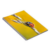 Carnet Ladybug sur la carte postale puzzle puzzle (Côté Droit)