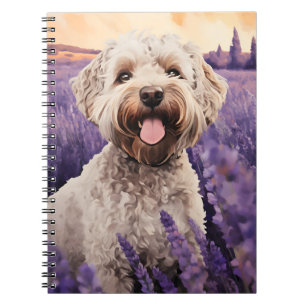 Carnet Lagotto Romagnolo dans le champ Lavender