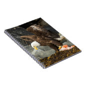 Carnet L'aigle chauve ultime (Côté Droit)