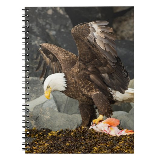 Carnet L'aigle chauve ultime (Devant)