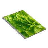 Carnet Laitue (Côté Droit)