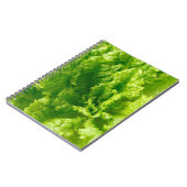 Carnet Laitue (Côté gauche)