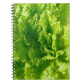 Carnet Laitue (Devant)