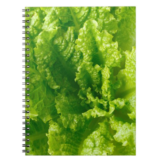 Carnet Laitue (Devant)