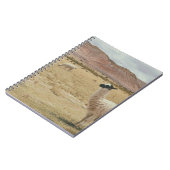 CARNET LAMA BLANC EN GRASS BROWN (Côté gauche)