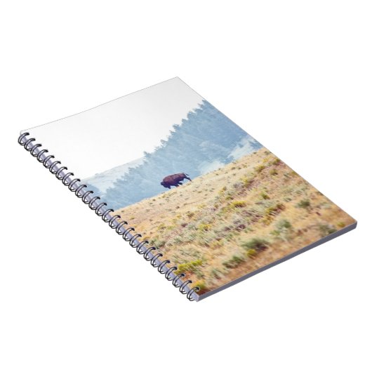 Carnet Lamar (Côté Droit)