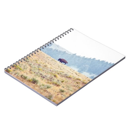 Carnet Lamar (Côté gauche)