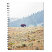 Carnet Lamar (Devant)