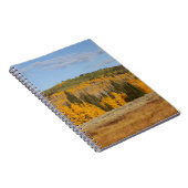 Carnet Lambert Hollow, trembles (Côté Droit)