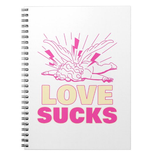 Carnet L'amour est nul (Devant)