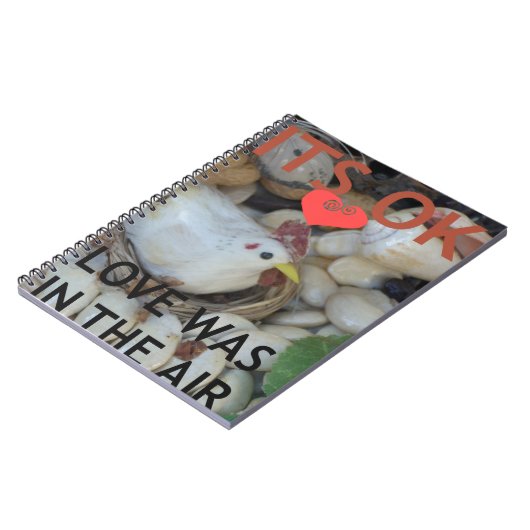 Carnet L'amour était dans l'air (Côté gauche)